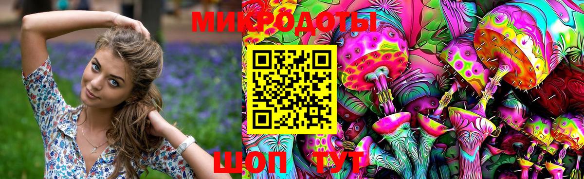 Галлюциногенные грибы Cubensis Заволжье