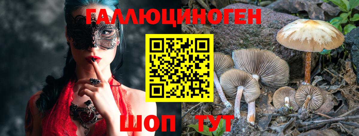 Галлюциногенные грибы GOLDEN TEACHER  Галлюциногенные грибы мухоморы  Вход с VPN  Заволжье 