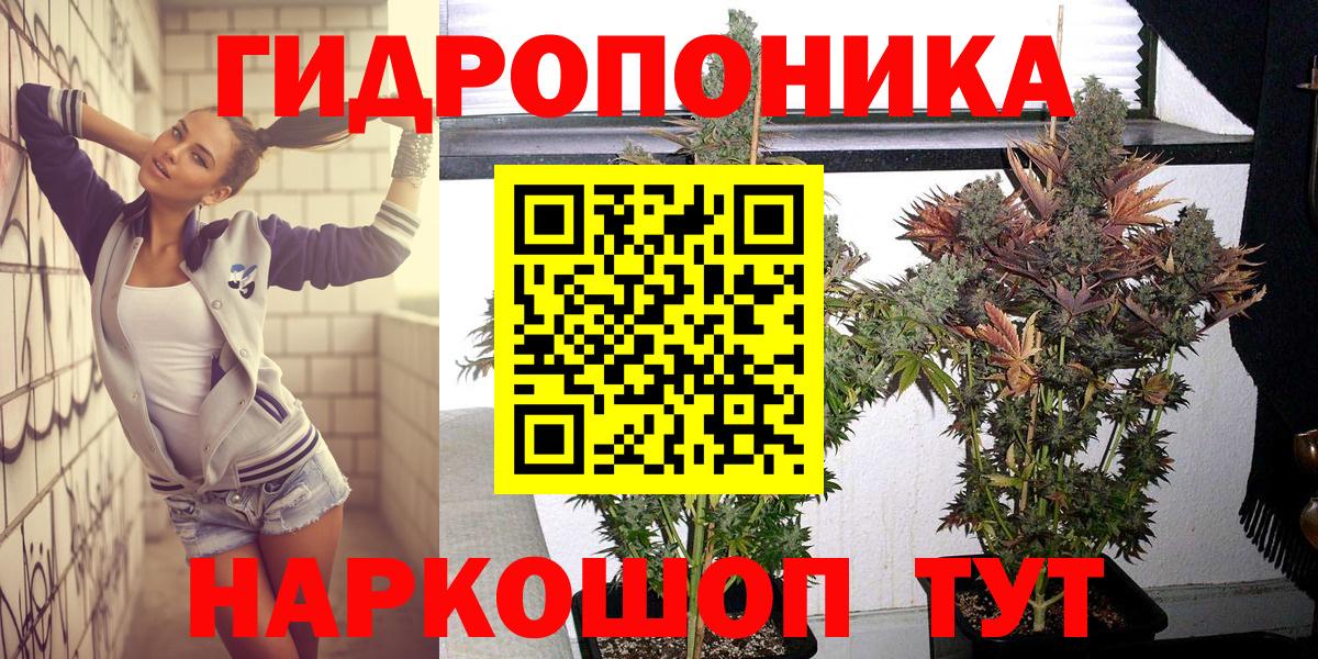 Канабис гибрид Заволжье